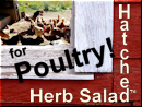 For Poultry